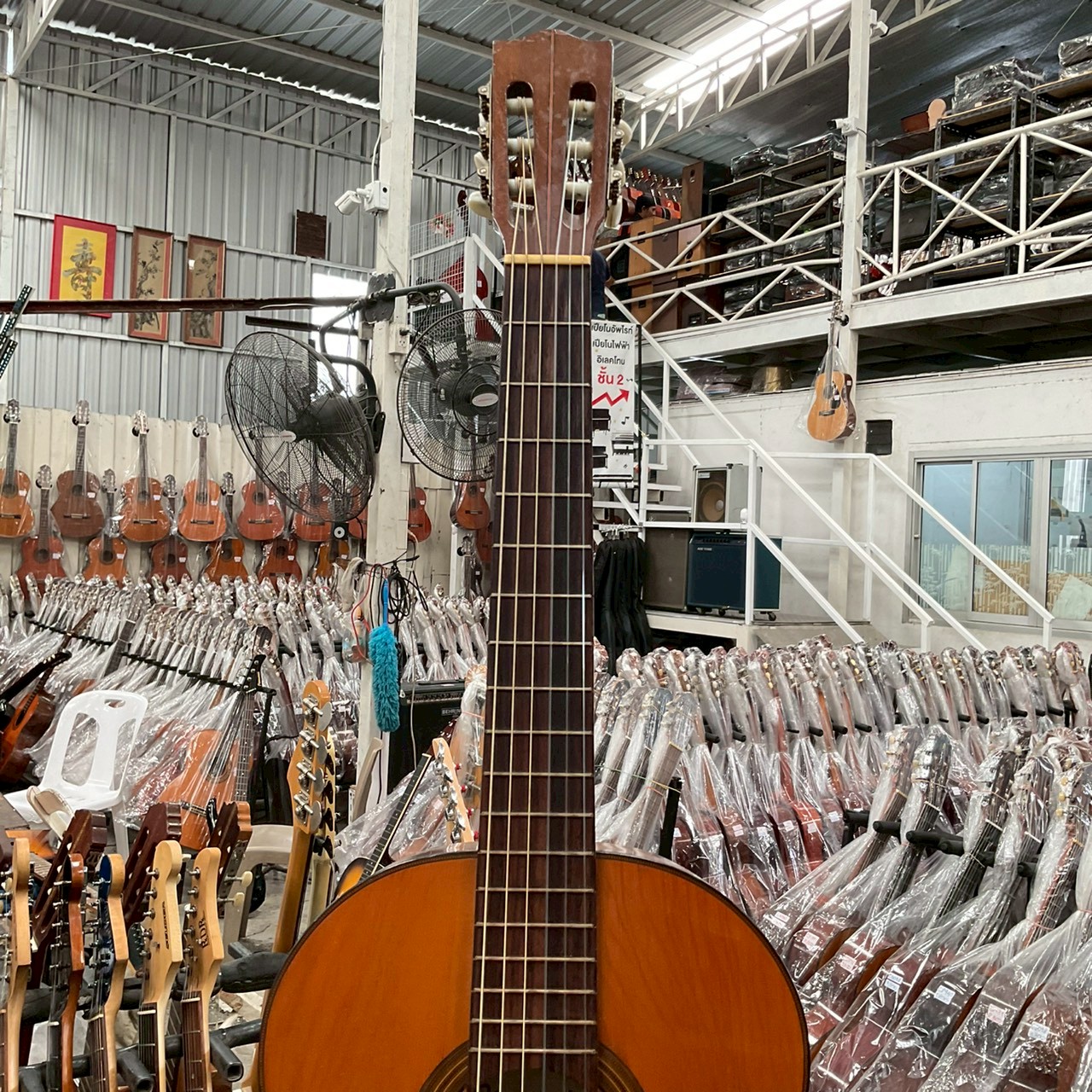 กีต้าร์คลาสสิค Shinko Pleasant : No.70