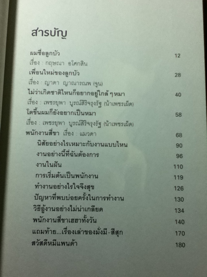 ขอหมีแพนด้าให้หมาข้าขี่