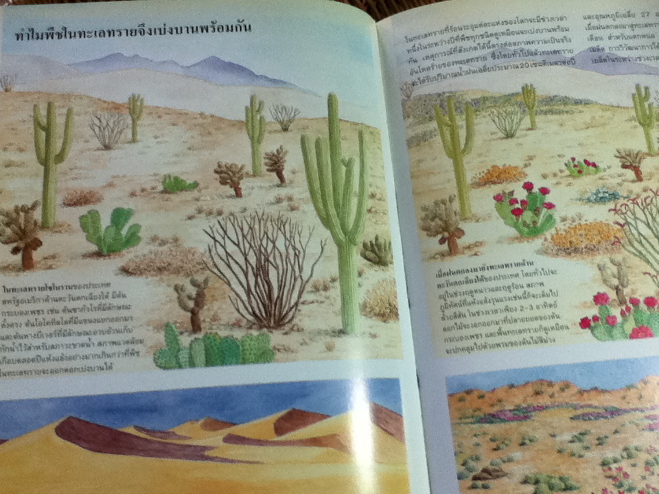 นิเวศวิทยาและสิ่งแวดล้อม หนังสือชุดขุมทรัพย์โลกวิทยาศาสตร์ (ปกแข็ง)/ ไทม์-ไลฟ์/ ผู้ช่วย ศจ.นันทนา คชเสนี ผู้แปล