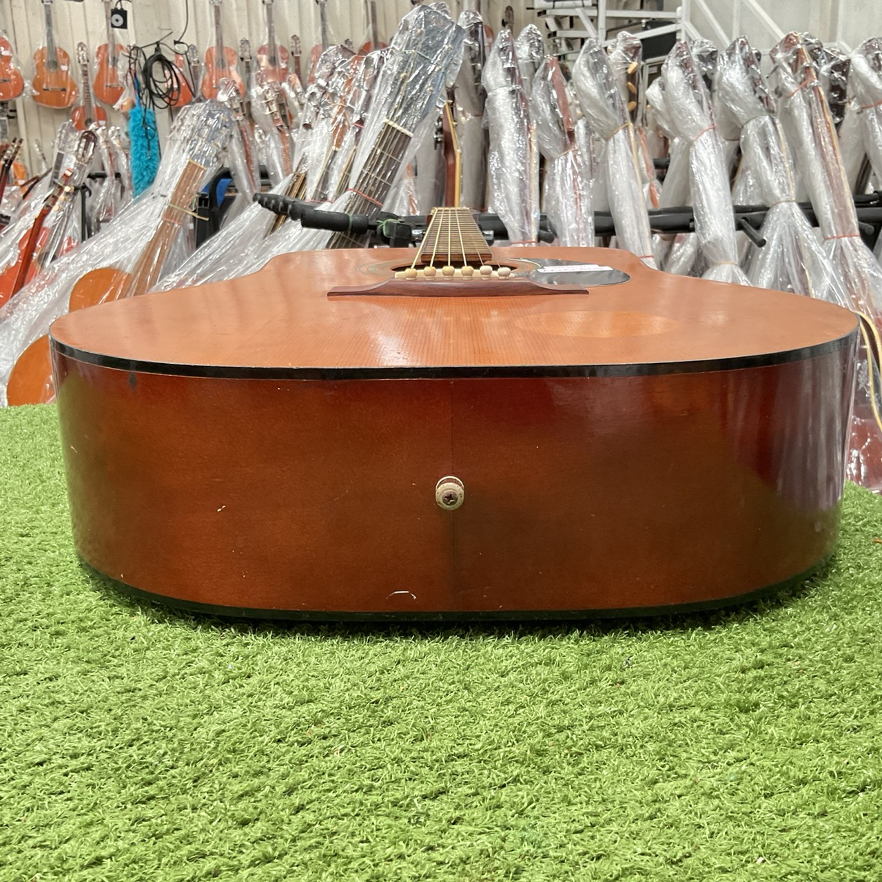 กีต้าร์โปร่ง Muse