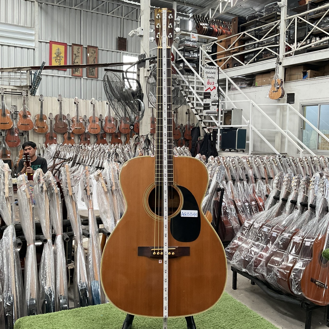 กีต้าร์โปร่ง MORRIS : F15