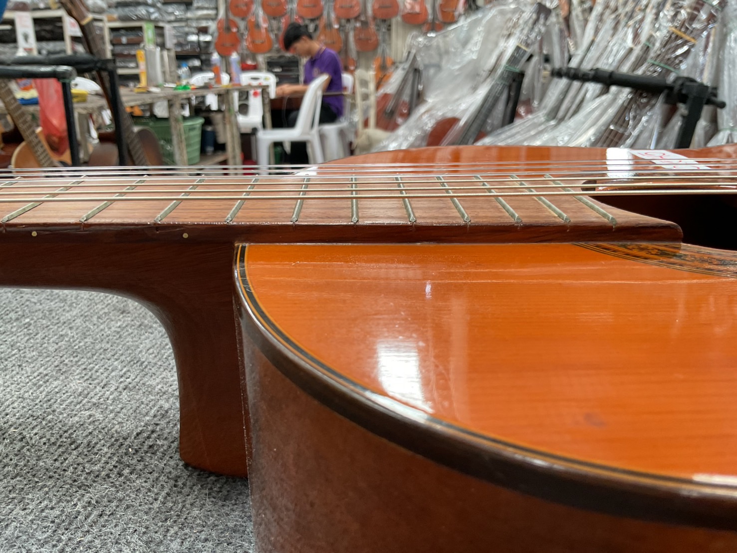 กีต้าร์คลาสสิค Zen-on Gut : No.50