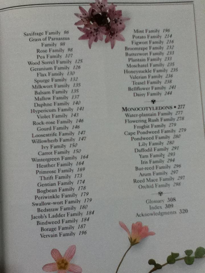 WILD FLOWERS OF BRITAIN AND NORTHWEST EUROPE/Christopher Grey-Wilson