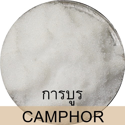 การบูรผง CAMPHOR POWDER