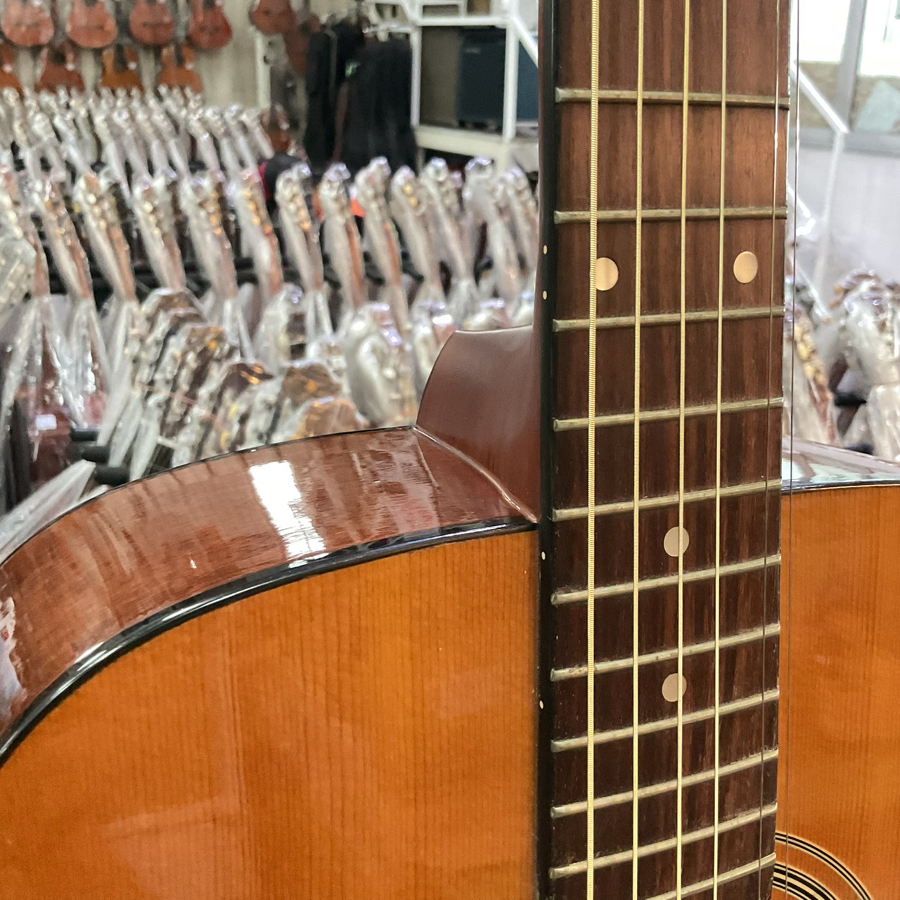 กีต้าร์โปร่ง Stafford&Co. : SF-250