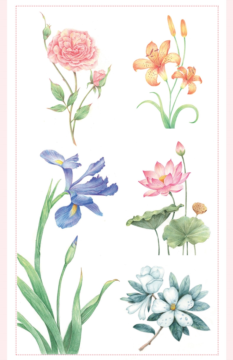 (Pre-order) หนังสือสอนระบายสีไม้ภาพดอกไม้ The 24 Solar Terms