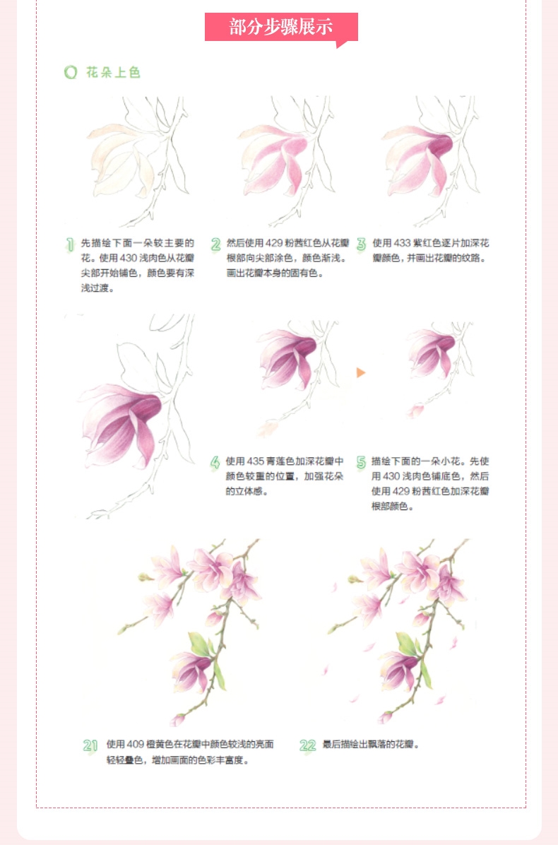 (Pre-order) หนังสือสอนระบายสีไม้ภาพดอกไม้ The 24 Solar Terms