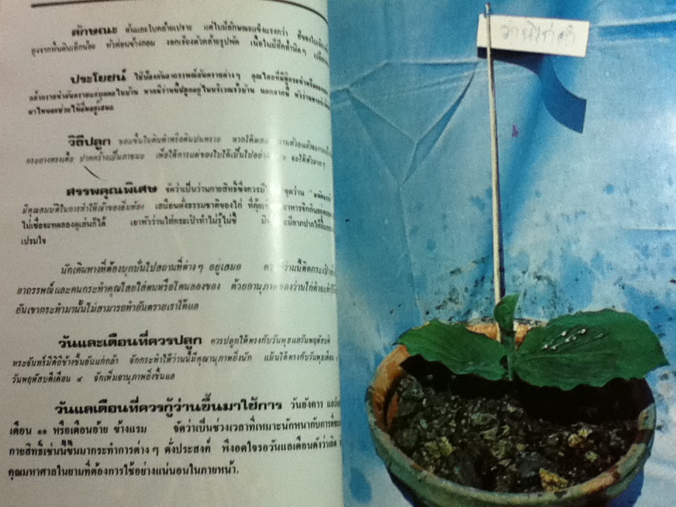 108ว่านมหัศจรรย์ เล่ม 1