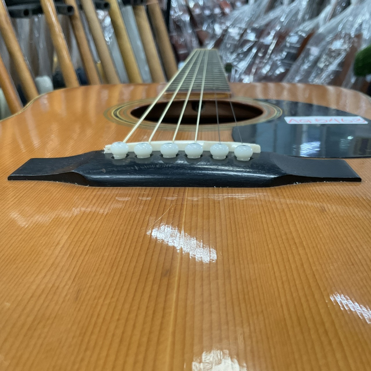 กีต้าร์โปร่ง Morris : W-25