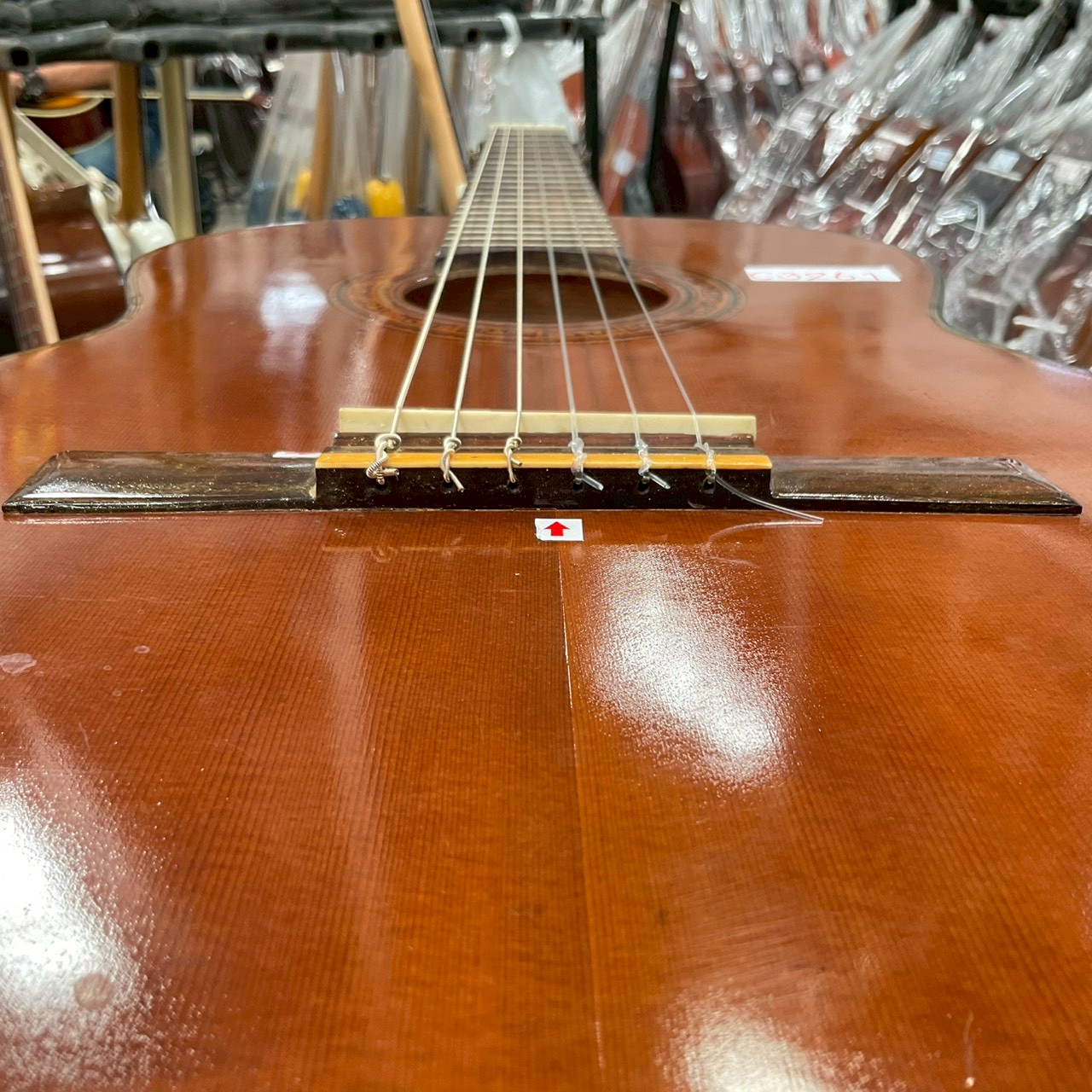 กีต้าร์คลาสสิค Zen-on Gut : No.60