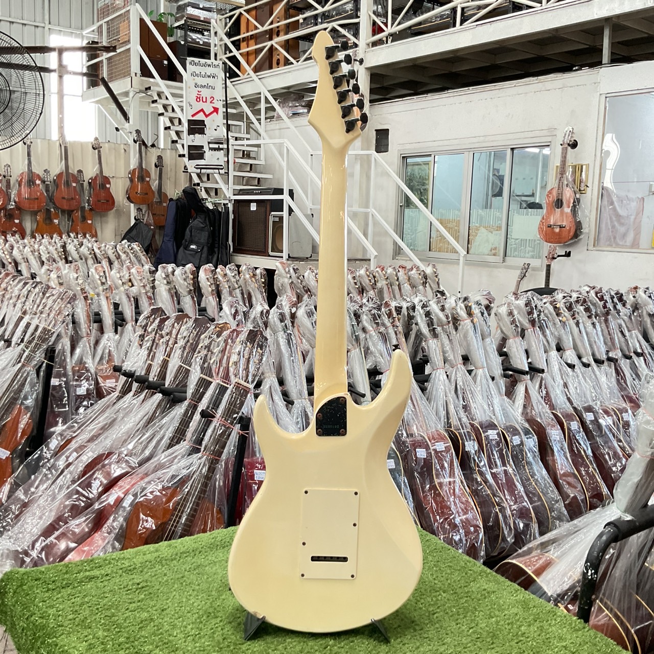 กีต้าร์ไฟฟ้า BLACK DOG : BY ARI PRO II