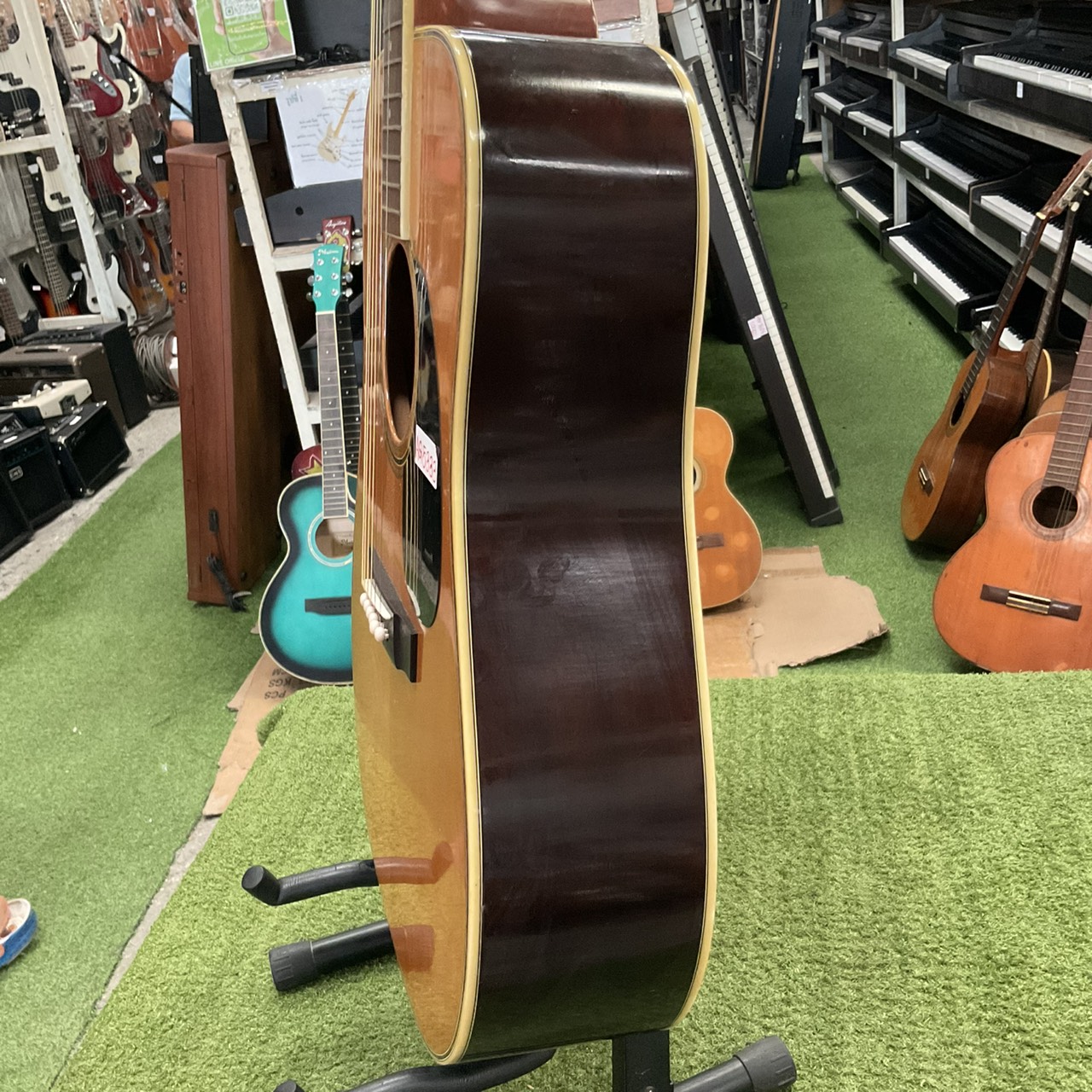 กีต้าร์โปร่ง Morris : W-25