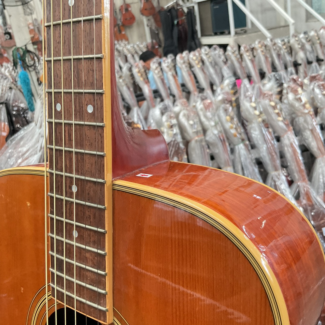 กีต้าร์โปร่ง Morris