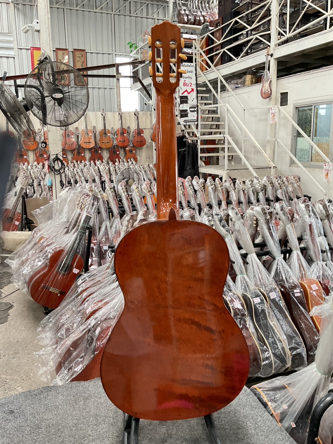 กีต้าร์คลาสสิค Zen-on Gut : No.50