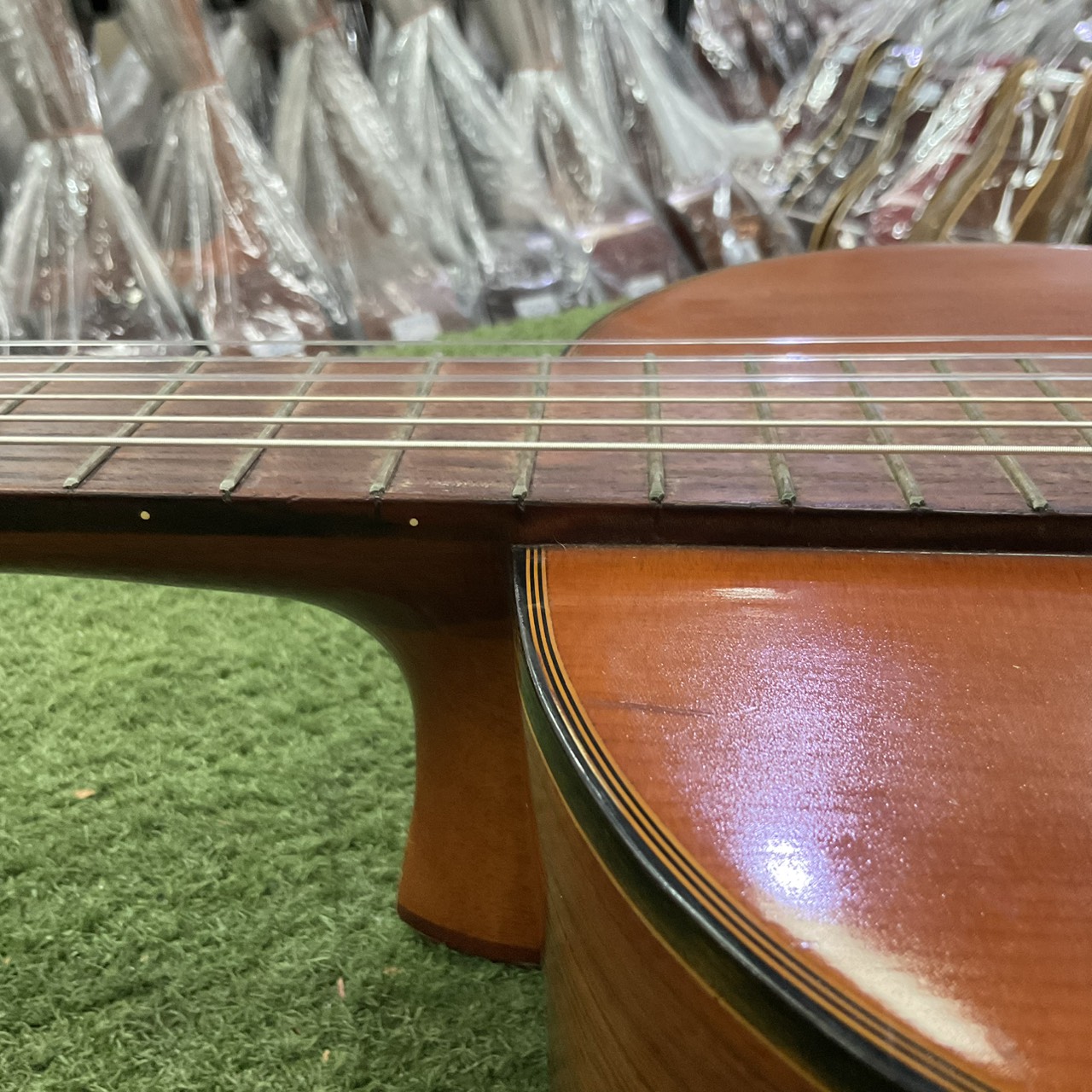 กีต้าร์คลาสสิค Abe Gut : 65A