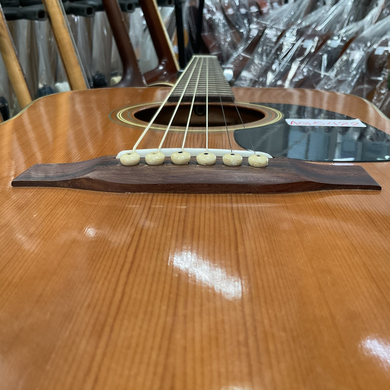 กีต้าร์โปร่ง Aria : W150