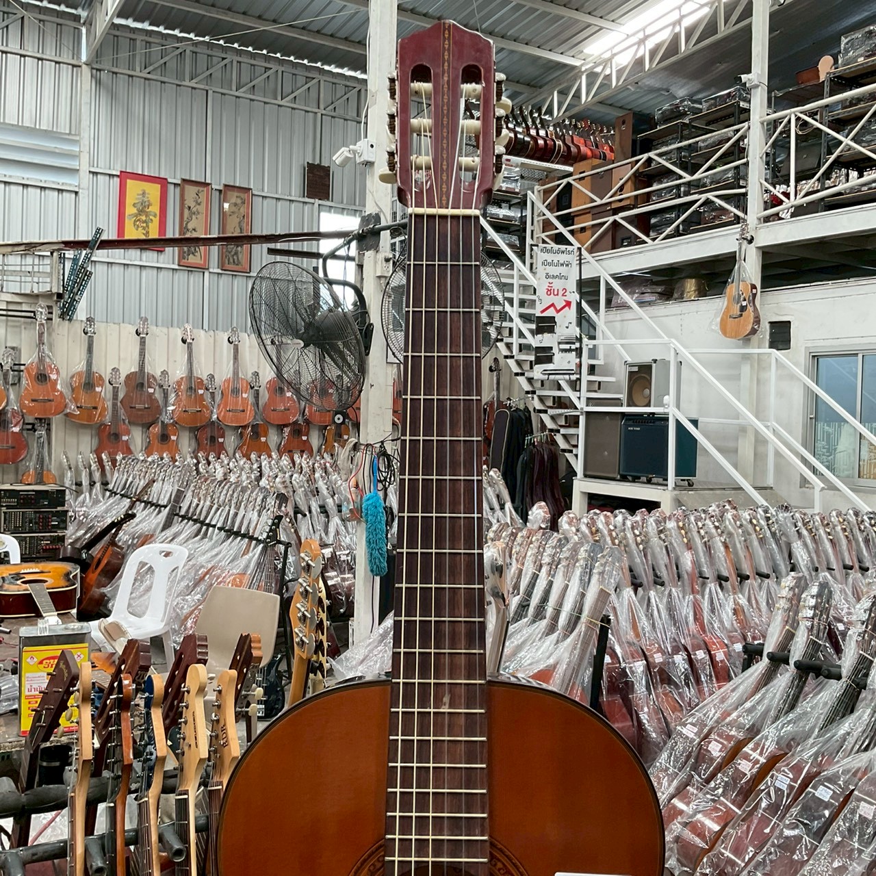 กีต้าร์คลาสสิค Zen-on Gut : No.60