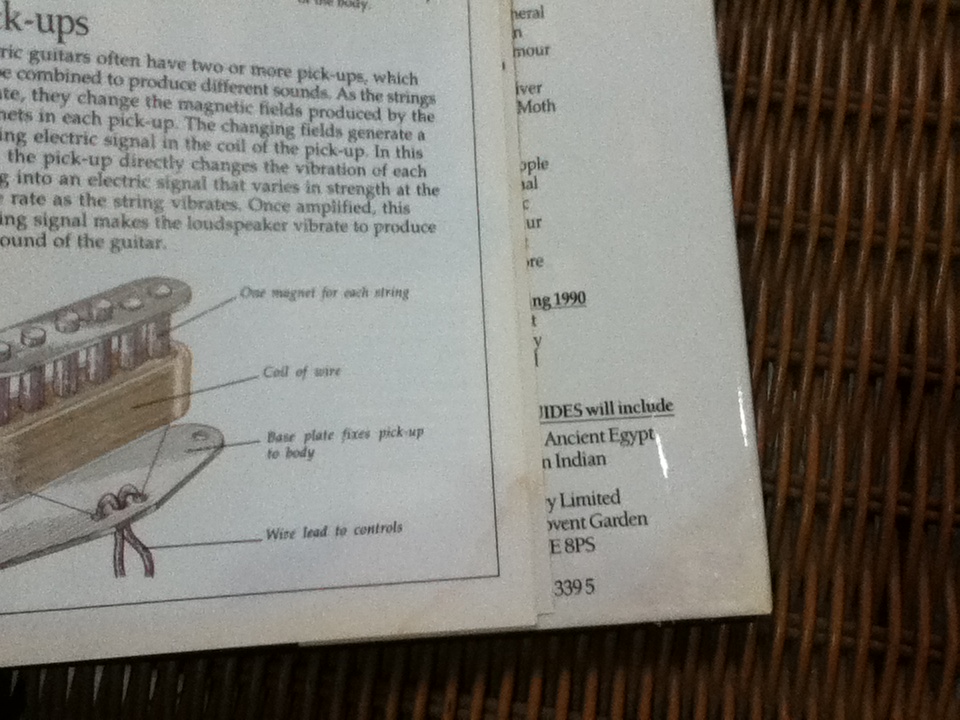 EYEWITNESS GUIDES 9 เล่ม