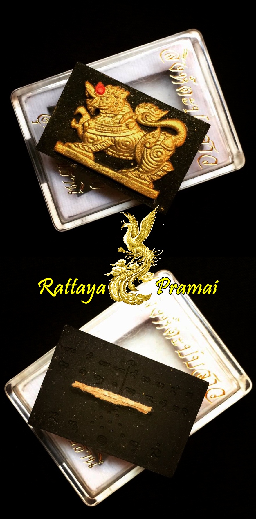 สิงห์ตะปบสาว หลวงปู่ญาท่านเขียน เนื้อดำปัดทอง ฝังรากราคะ