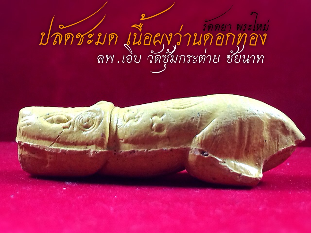 ปลัดหัวชะมด หลวงพ่อเอิบ ฐิตธมฺโม วัดหนองหม้อแกง เนื้อว่านดอกไม้ทอง