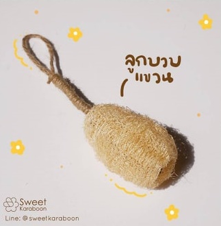 ลูกบวบ หรือ รังบวบ C 2.5 นิ้ว (5-6.5ซม) /สปาแขวน