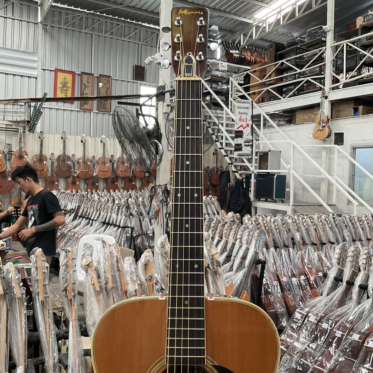 กีต้าร์โปร่ง MORRIS : F15