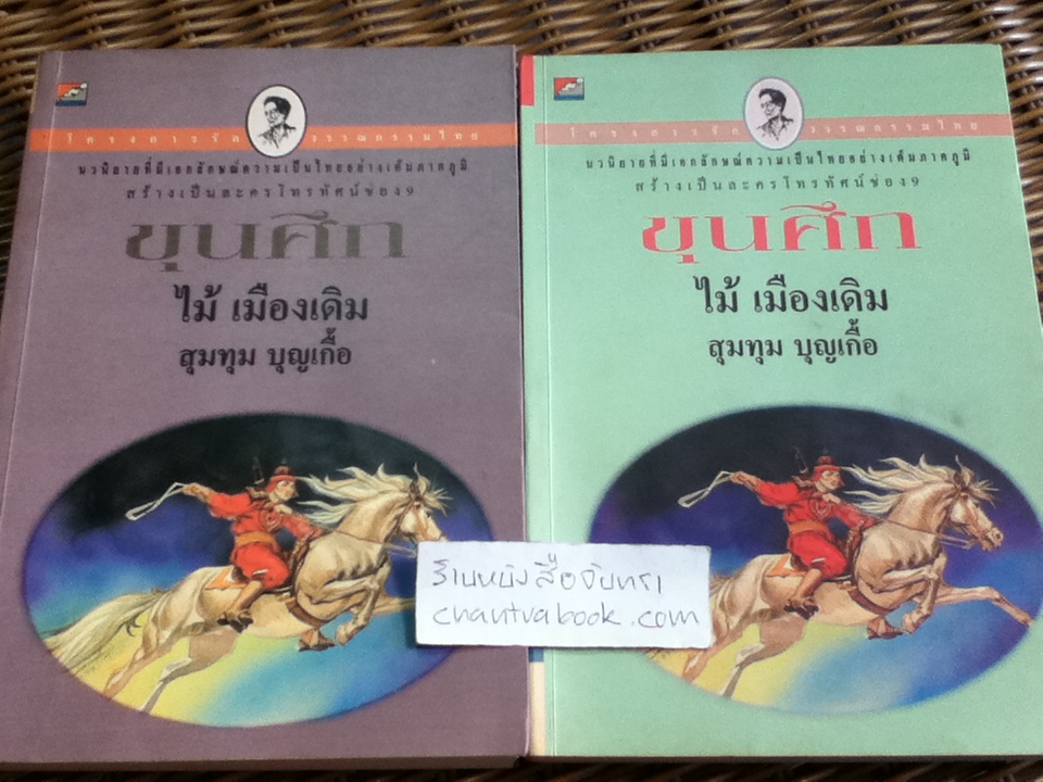 ขุนศึก 10เล่มจบ/ ไม้ เมืองเดิม