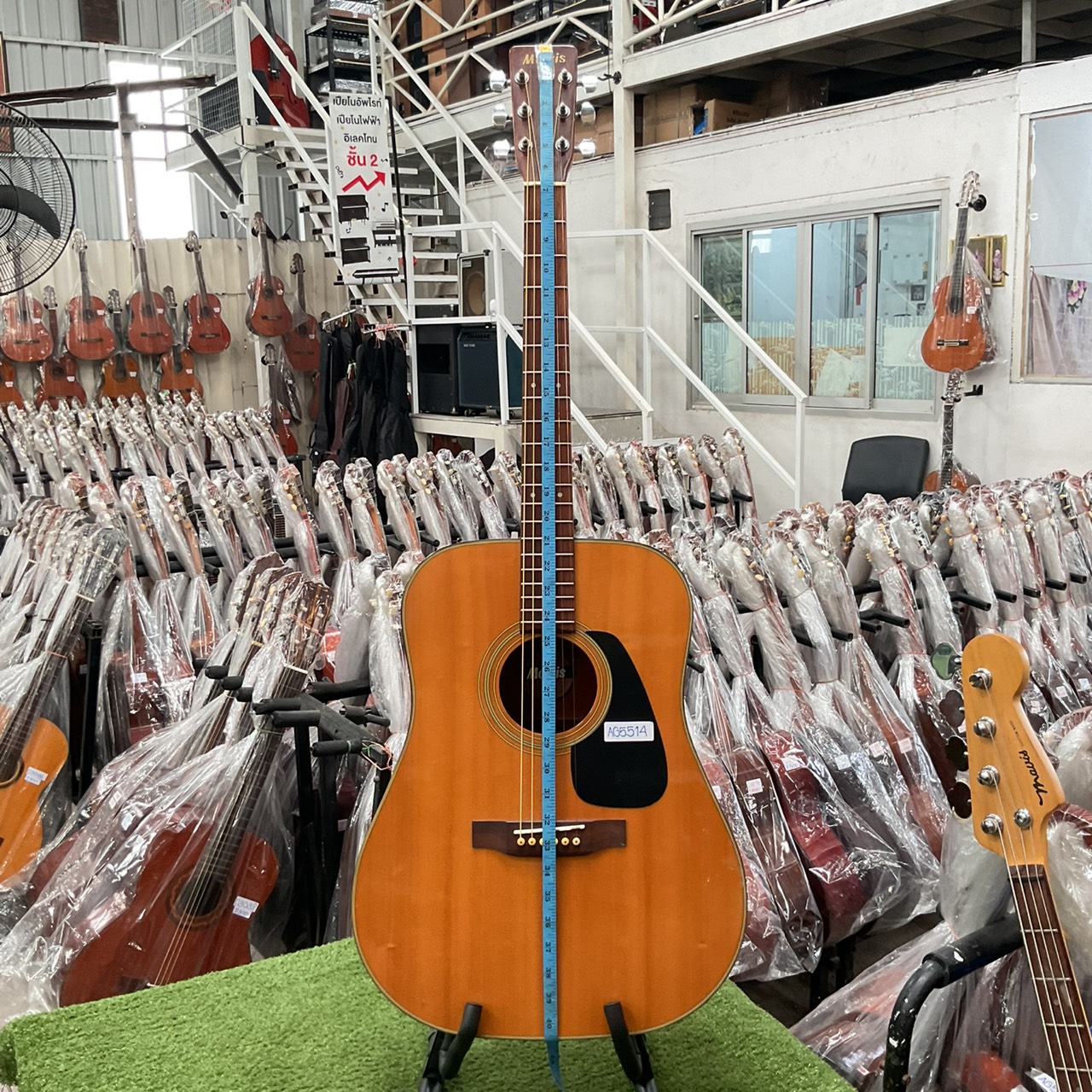 กีต้าร์โปร่ง Morris : MD-503