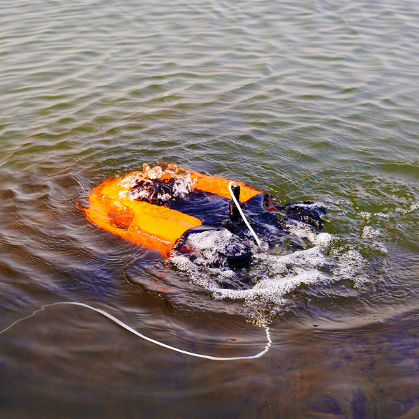 โดรนใต้น้ำ ความละเอียด 4K Youcan Robot รุ่น BW Space Pro Max Underwater Drone with Gripper Claw (สินค้ารอนานกว่าปกติ)