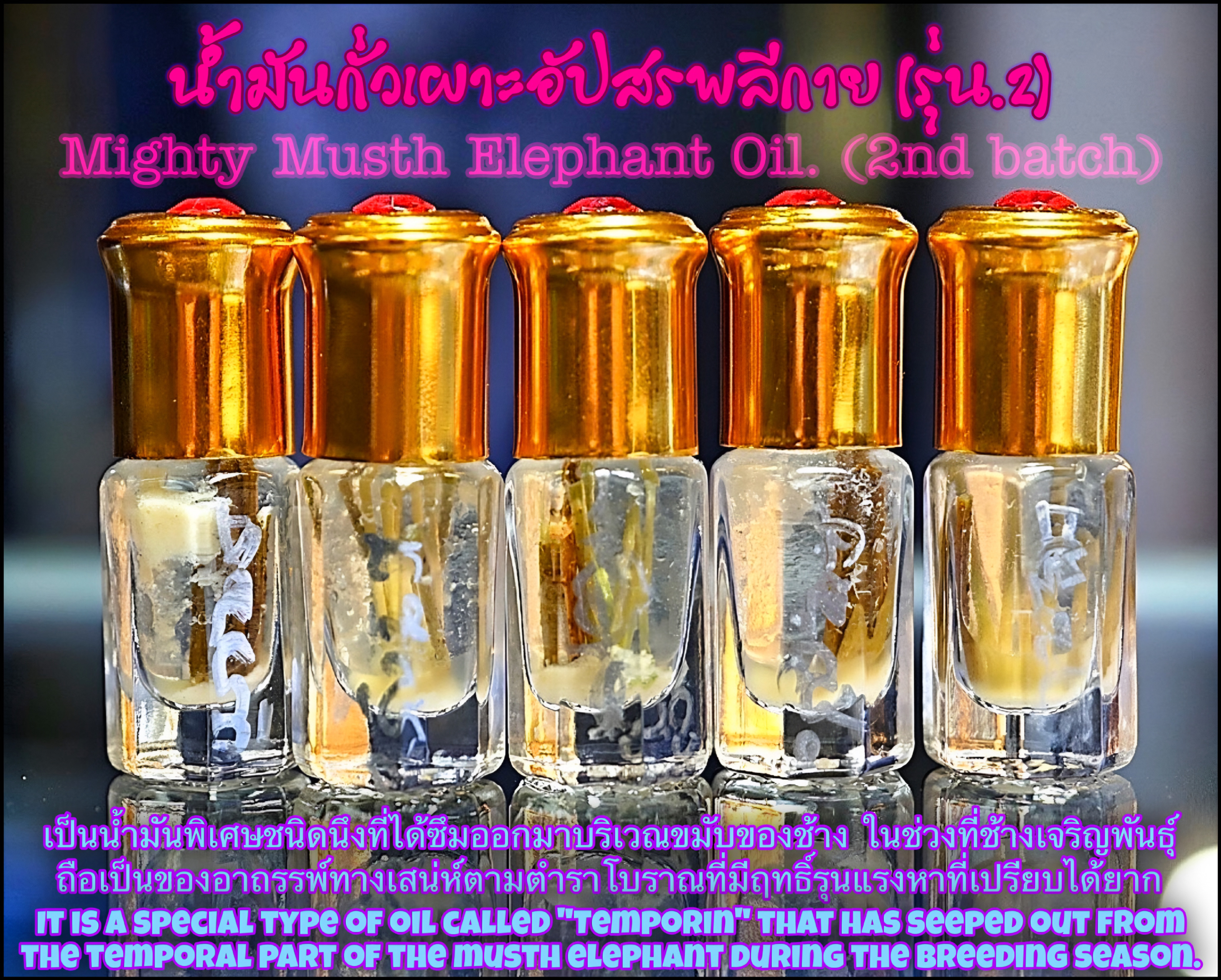 น้ำมันกั่วเผาะอัปสรพลีกาย (รุ่น.2) Mighty Musth Elephant Oil. (2nd batch) SKU-04000