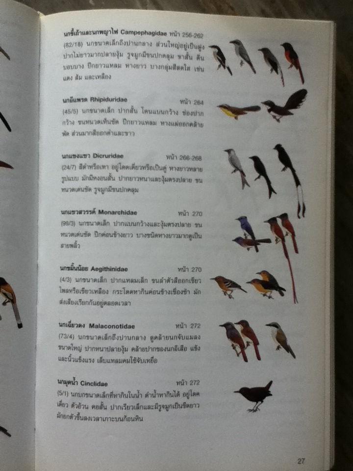 คู่มือดูนก หมอบุญส่ง เลขะกุล นกเมืองไทย