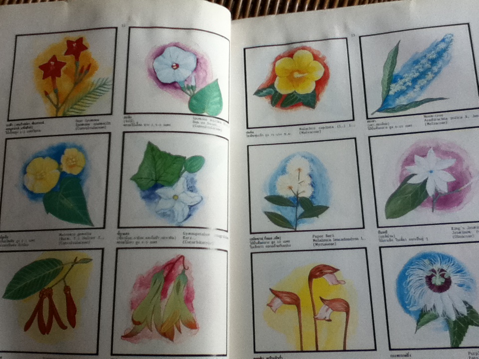 พจนานุกรมไม้ดอกไม้ประดับในเมืองไทย เล่ม 1-2/ ดร.วิทย์ เที่ยงบูรณธรรม