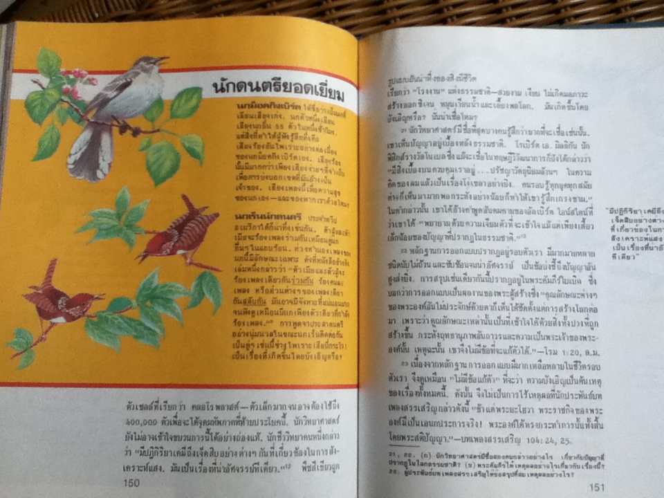 ชีวิตเกิดขึ้นมาอย่างไร? โดยวิวัฒนาการหรือมีผู้สร้าง? (ศาสนาคริสต์)