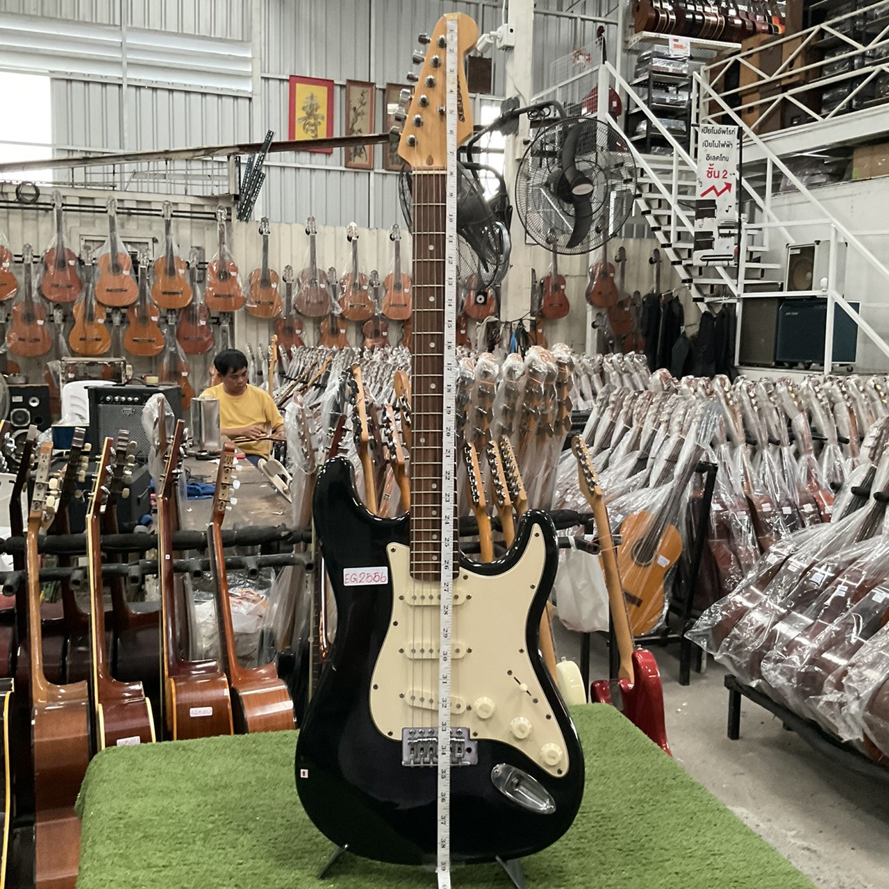 กีต้าร์ไฟฟ้า Bloom