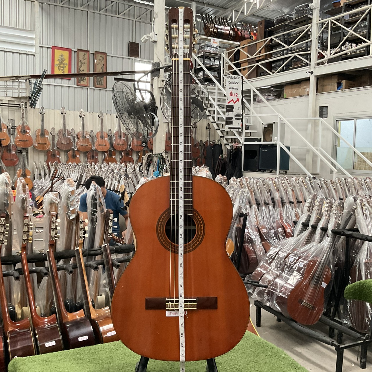 กีต้าร์คลาสสิค SUZUKI : No.36