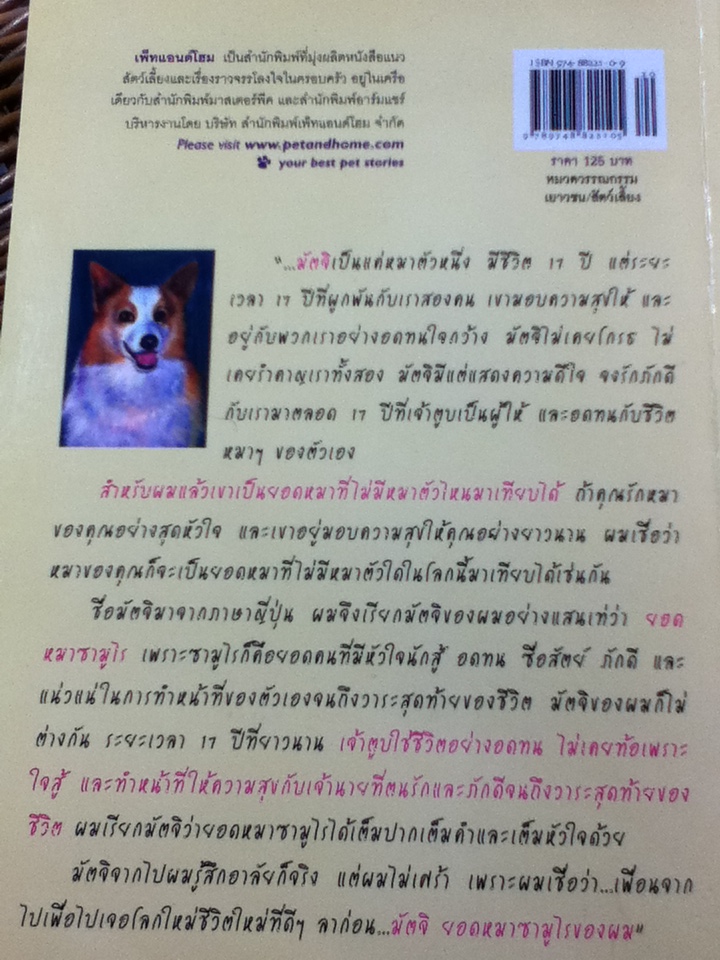 มัตจิ ยอดหมาซามูไร/ เก็น กวี