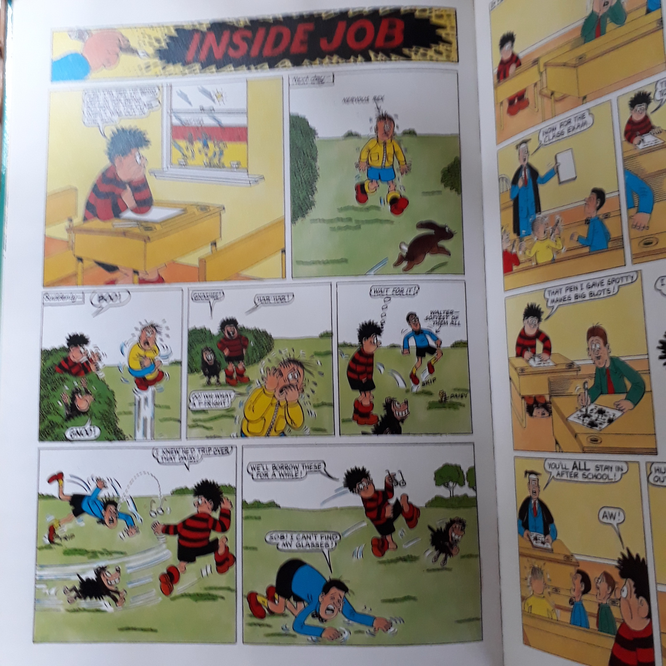 THE DENNIS THE MENACE BOOK 1996