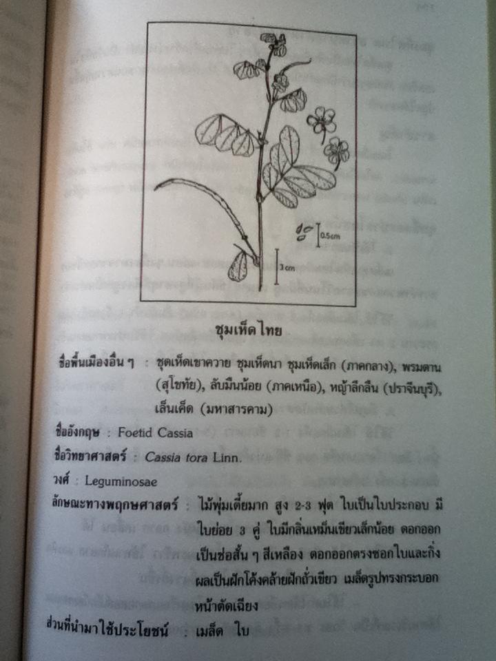 สมุนไพรน่ารู้/ วันดี กฤษณพันธ์