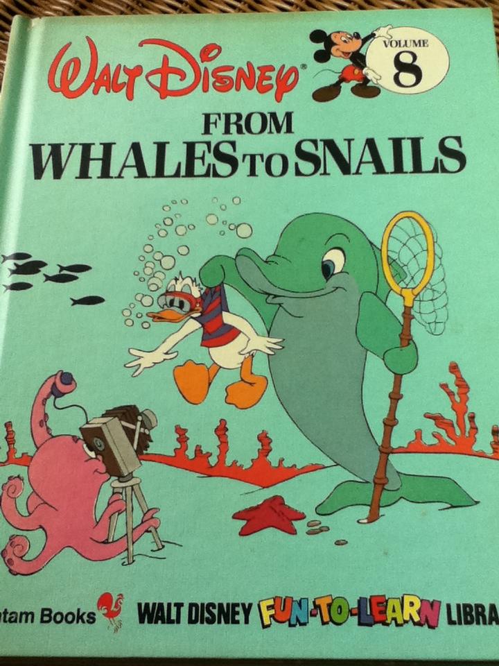 WALT DISNEY FUN-TO-LEARN LIBRARY Volume 3-19 (17 เล่ม)