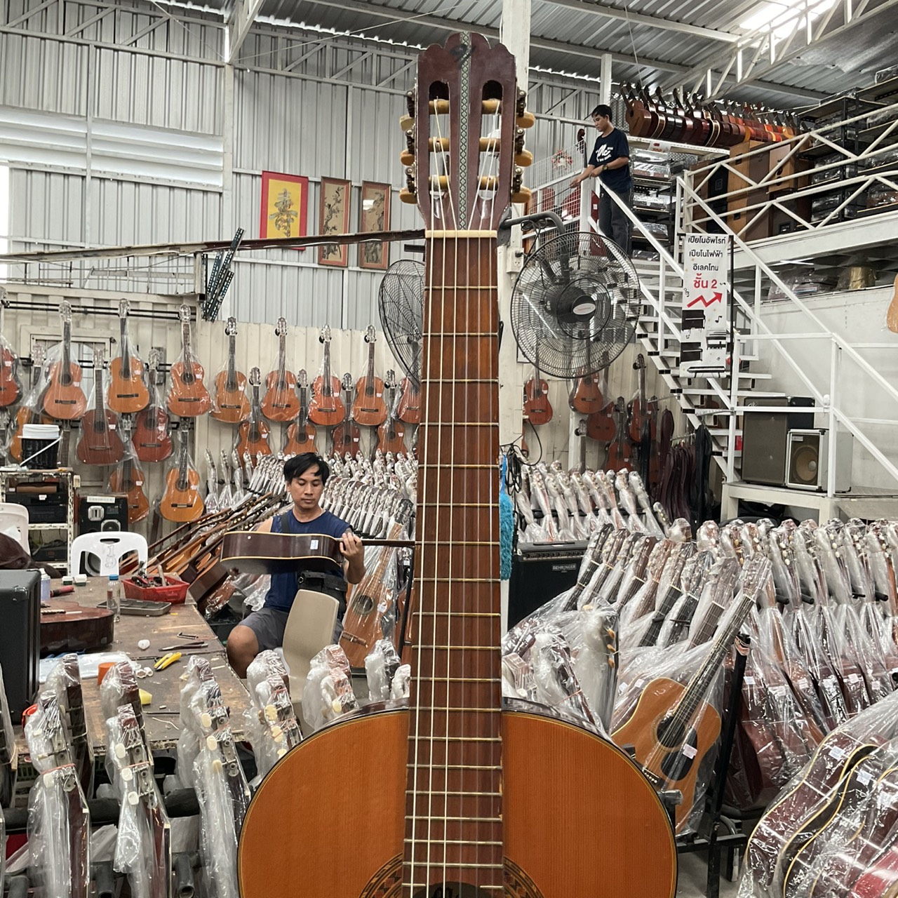 กีต้าร์คลาสสิค Mizuno