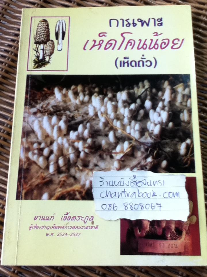 การเพาะเห็ดโคนน้อย(เห็ดถั่ว)/ อานนท์ เอื้อตระกูล