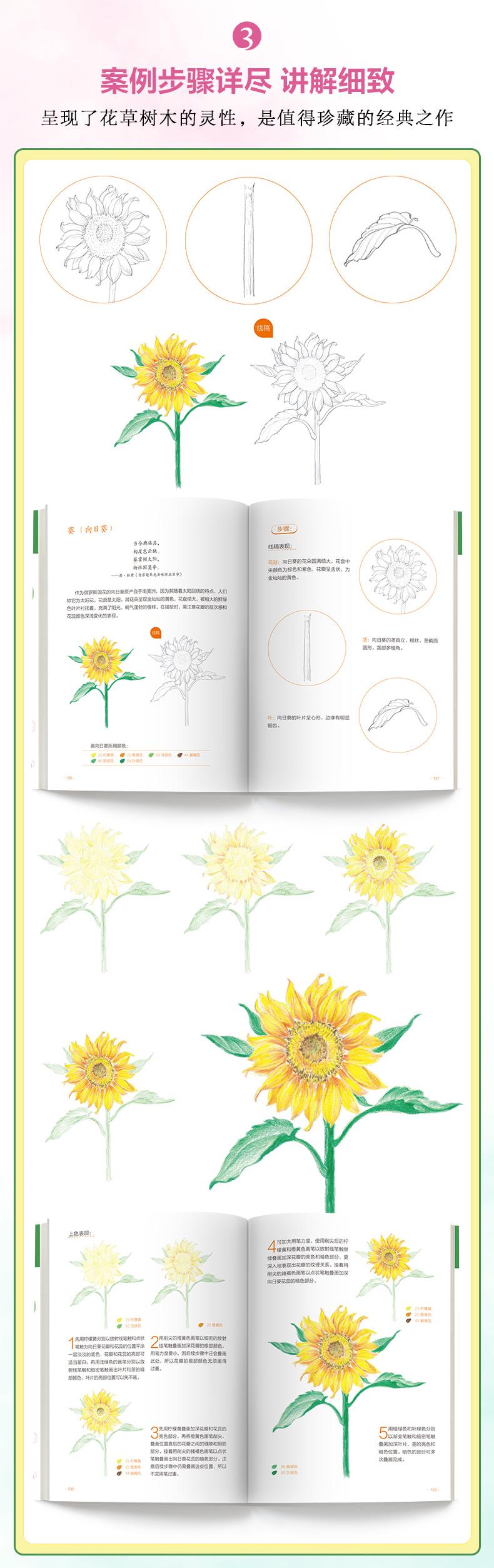 (พร้อมส่ง) หนังสือระบายสีไม้ภาพพืช