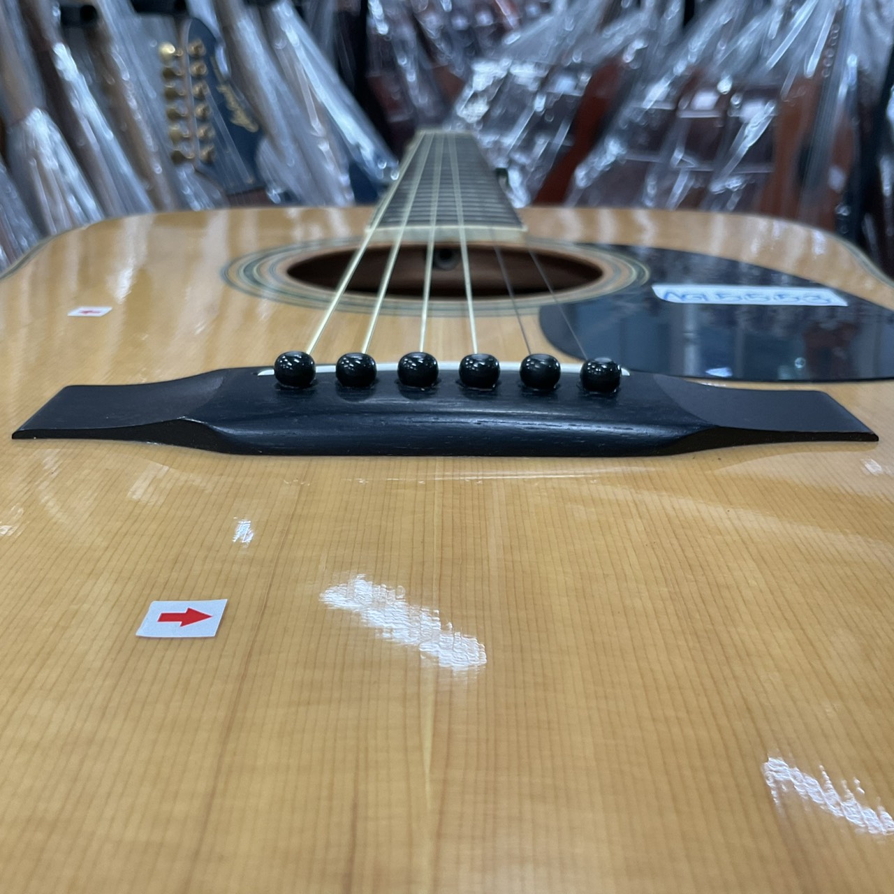 กีต้าร์โปร่ง Morris : W-23