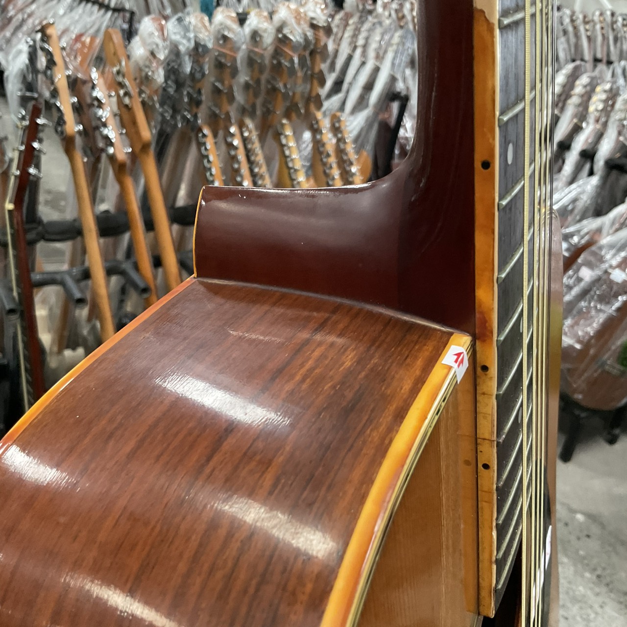 กีต้าร์โปร่ง Morris : W-25