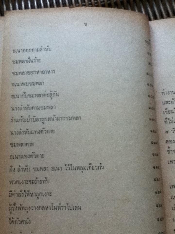 เงาะป่า