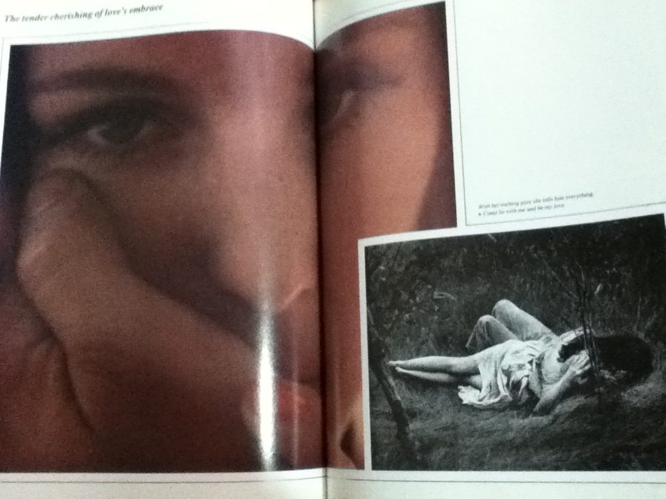 The Joy of LIFE/ Philip B. Kunhardt Jr.