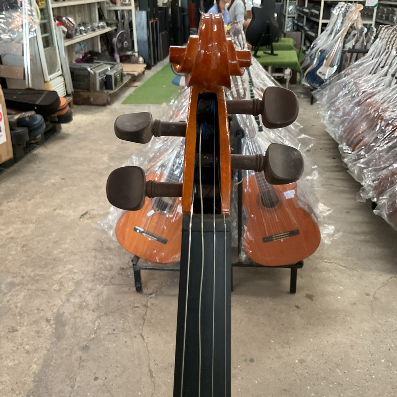 ไวโอลิน Stentor : RO69423