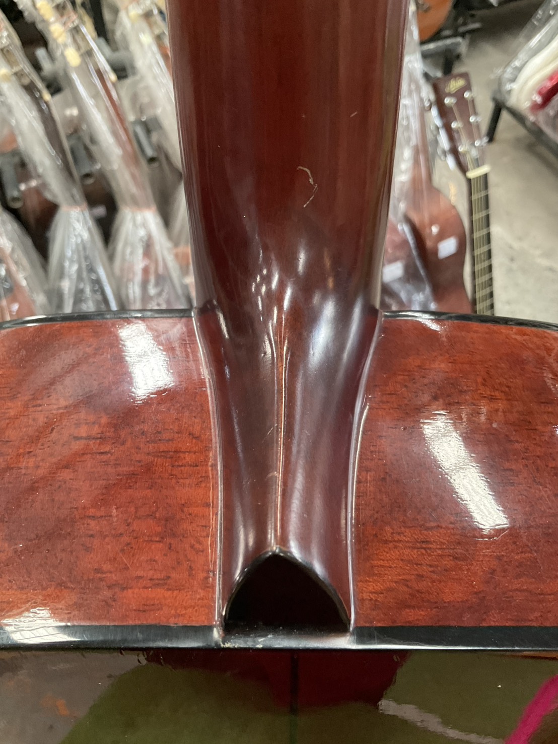 กีต้าร์โปร่ง Morris : W-15