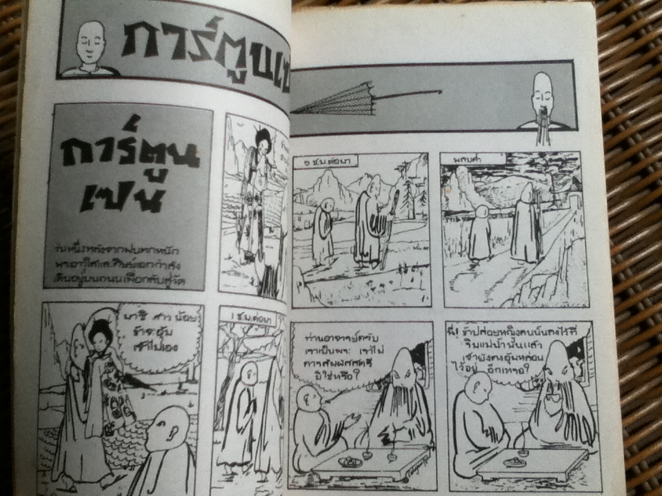 การ์ตูนเซน/ ไอโอนนา ซาลาจัน