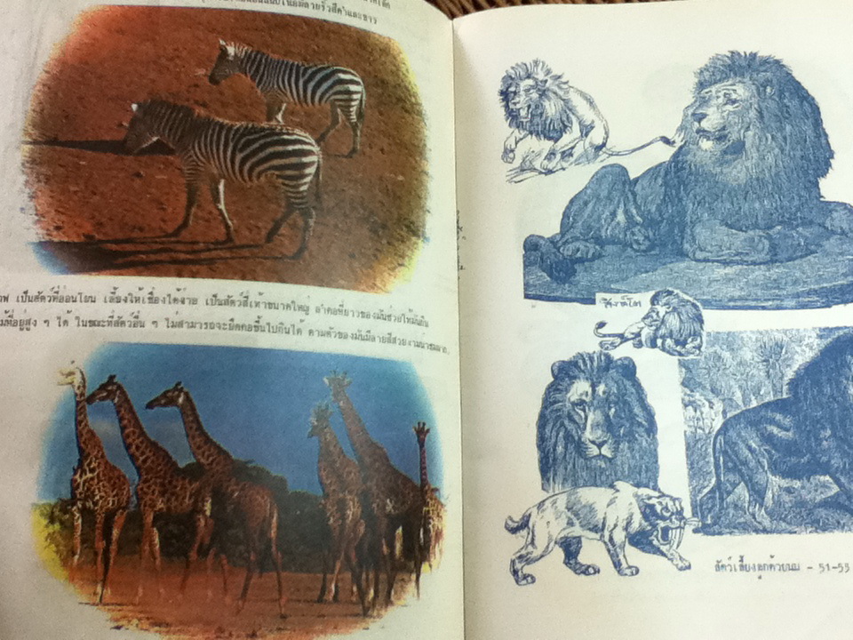 การเขียนภาพสัตว์ (หนังสือแถม)